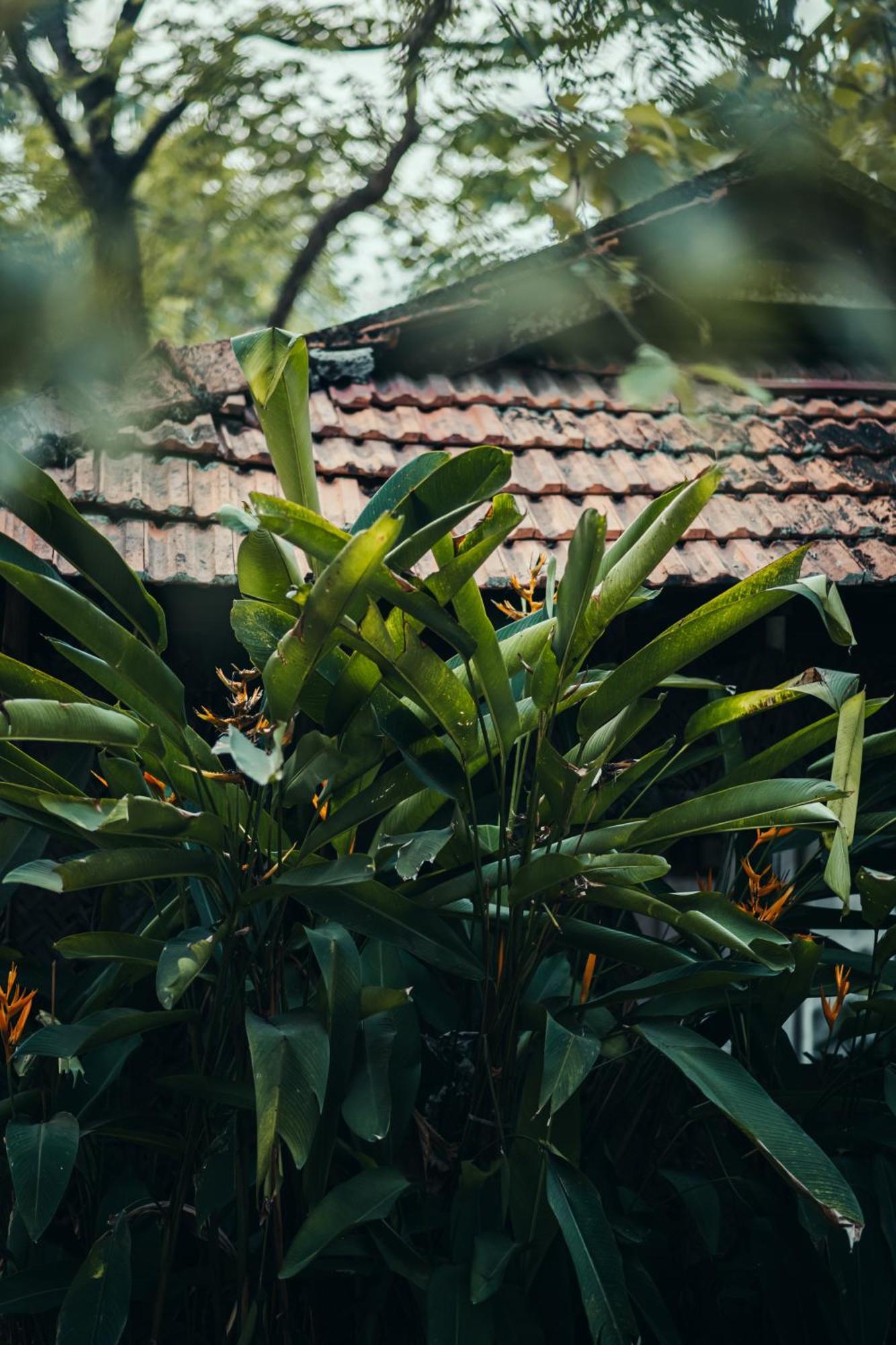 Paddlecult Surf Retreat Panzió Varkala Kültér fotó