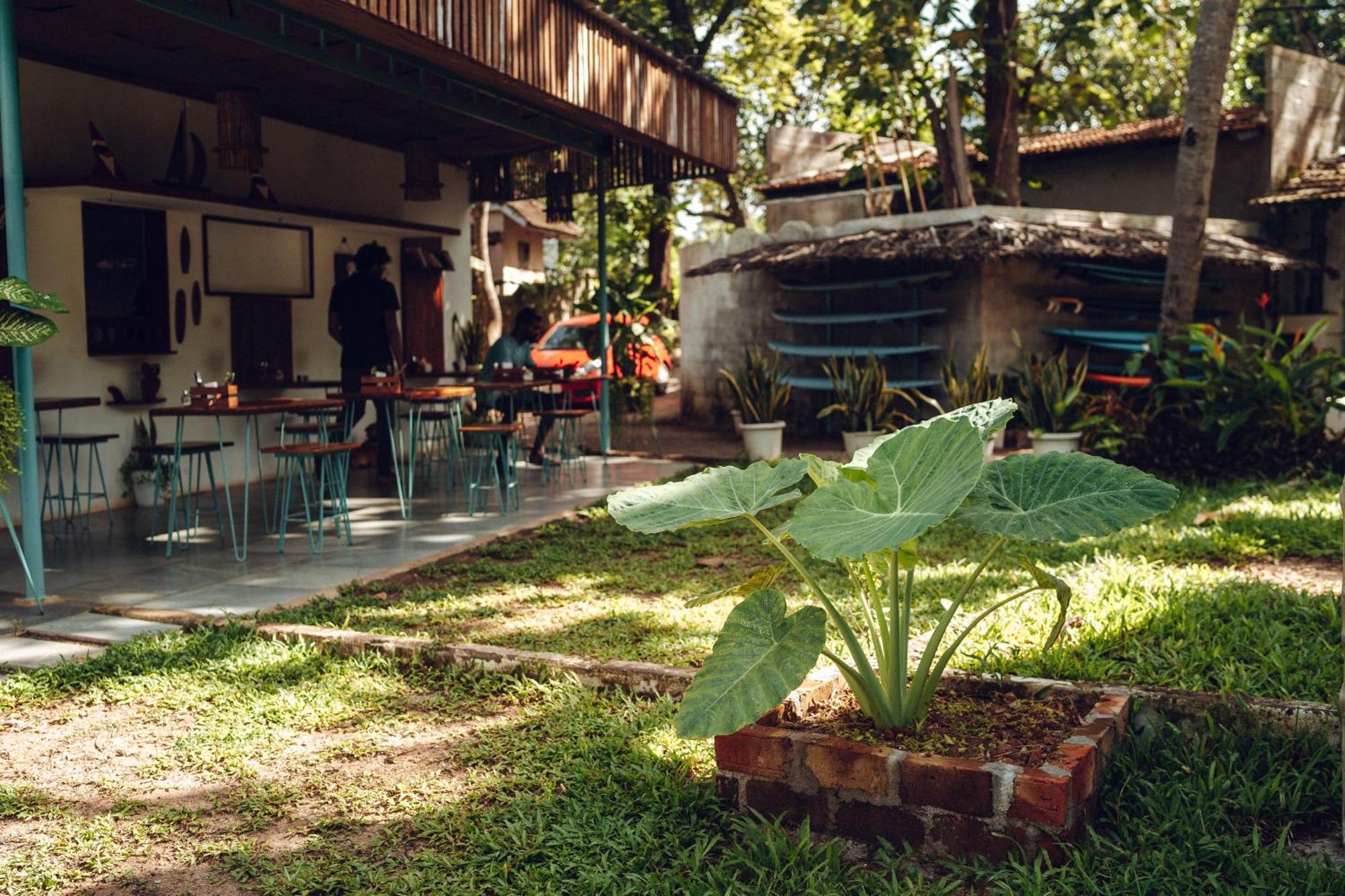 Paddlecult Surf Retreat Panzió Varkala Kültér fotó