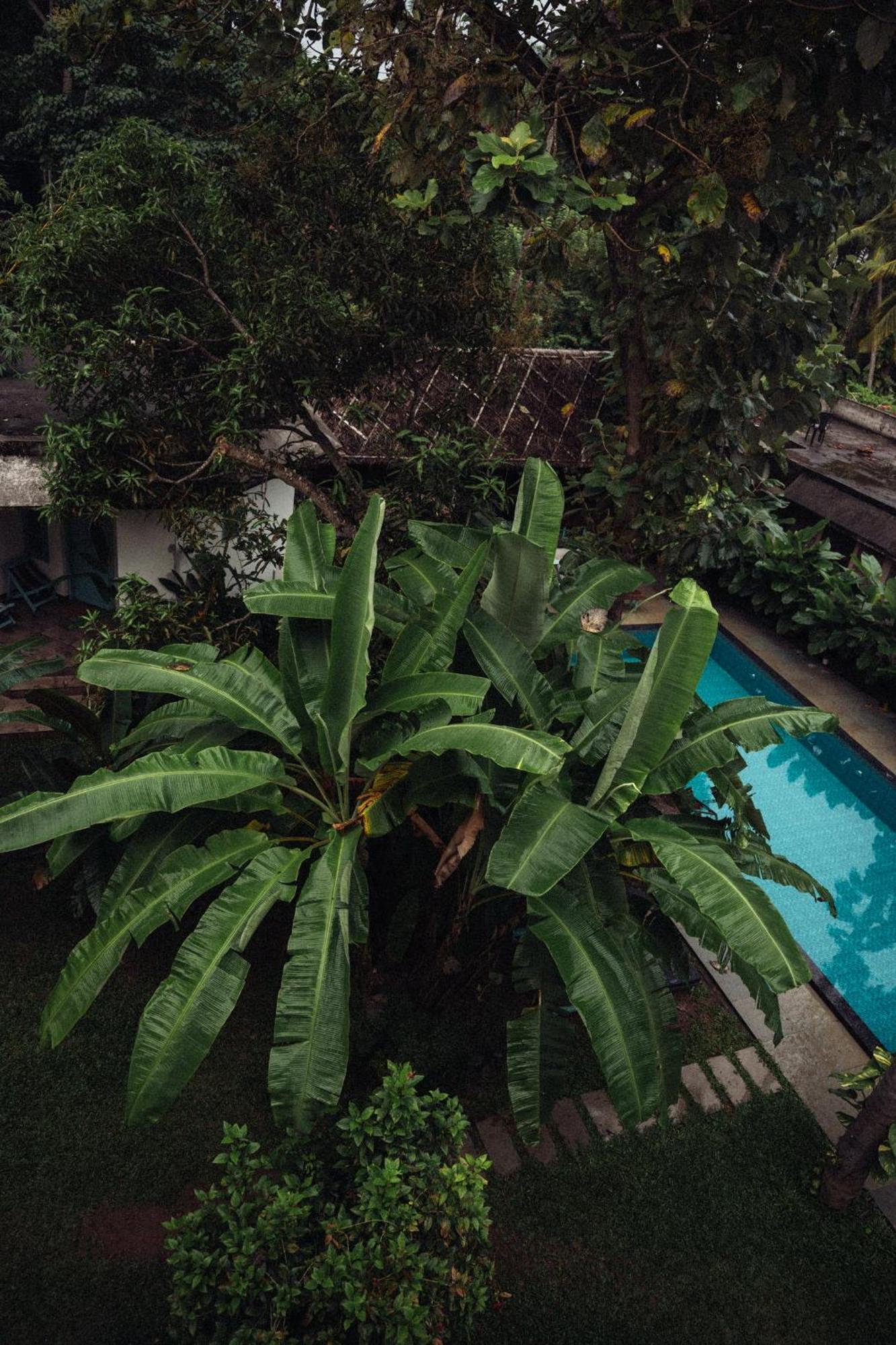 Paddlecult Surf Retreat Panzió Varkala Kültér fotó
